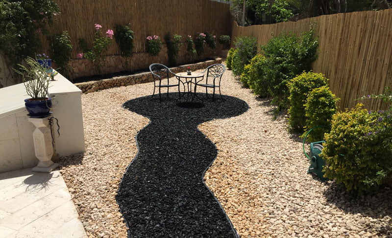 -גינה-אבי-ישראלי1