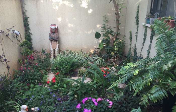 עיצוב גינה עירונית