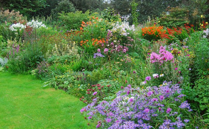 שילוב של צמחים עונתיים בעיצוב גינות