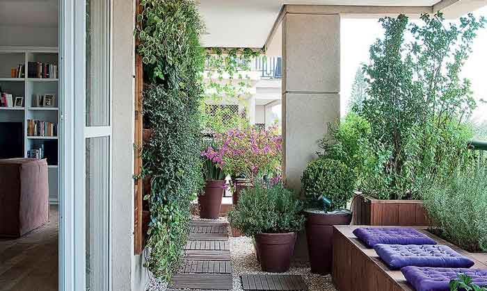 צמחיית אביב בפטיו