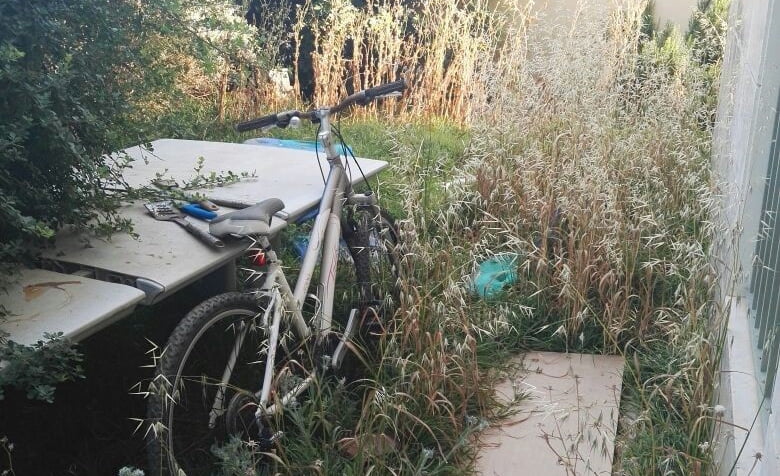 הקמת גינה בנתניה