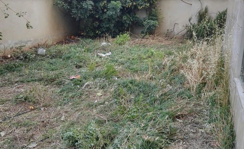 הקמת גינה בנתניה