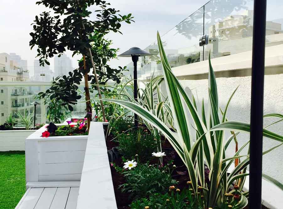 הקמת גינה בפנטהאוז