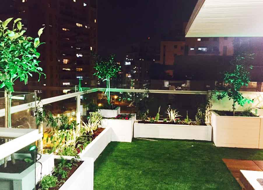 הקמת גינה בפנטהאוז