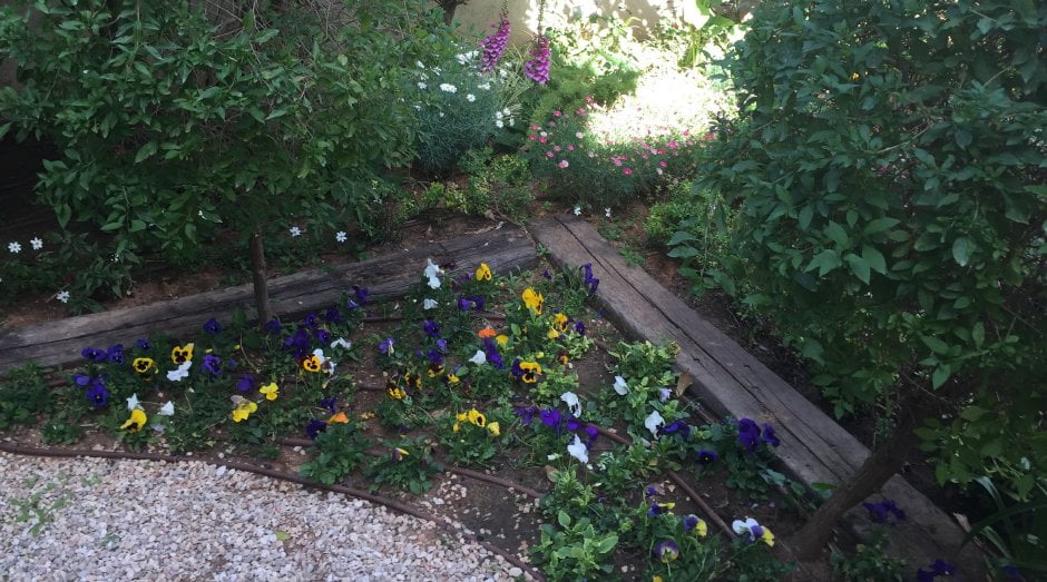 עיצוב גינה בכפר ידידיה 