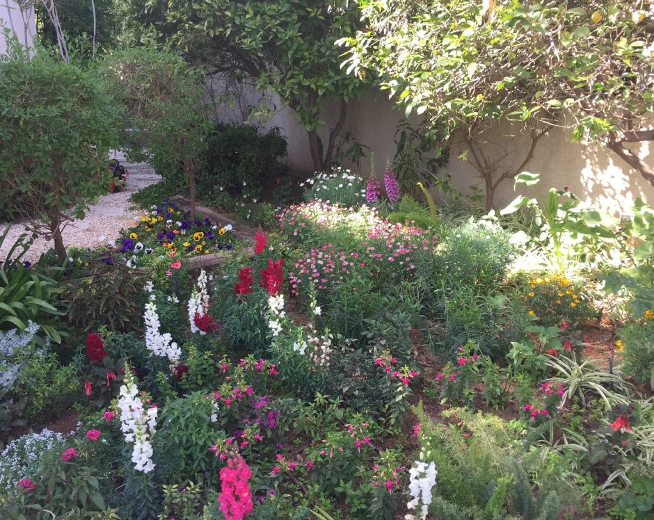 עיצוב גינה בכפר ידידיה 