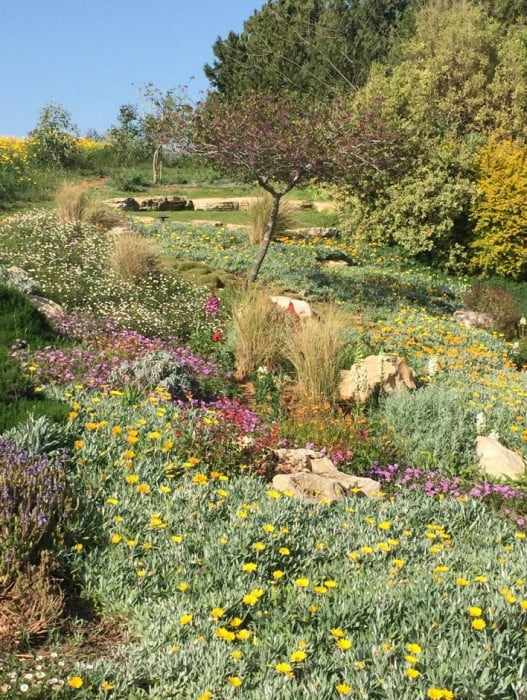 עיצוב גינה בכפר ידידיה 