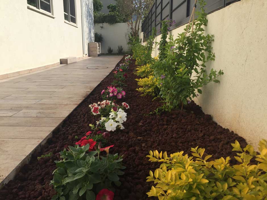 עיצוב גינה בשוהם