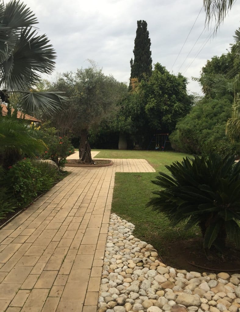 עיצוב גינה יוקרתית