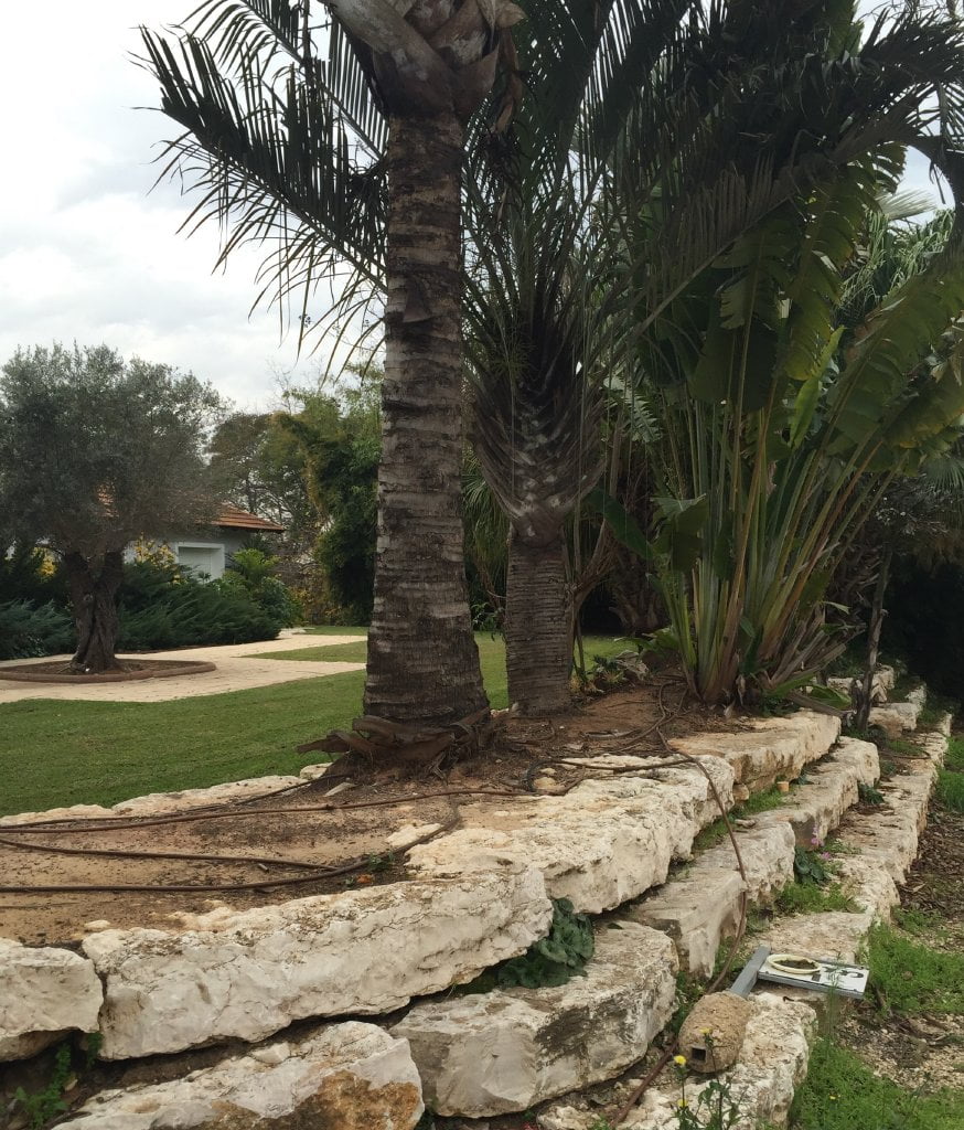 עיצוב גינה יוקרתית