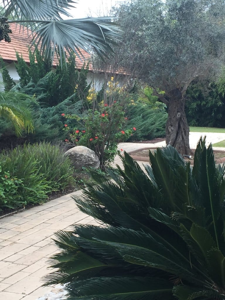 עיצוב גינה יוקרתית