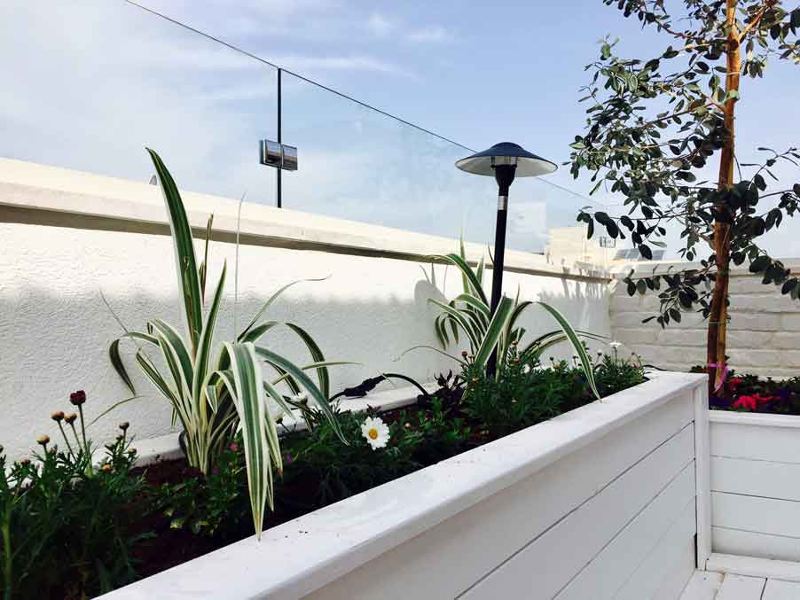 הקמת גינה בפנטהאוז