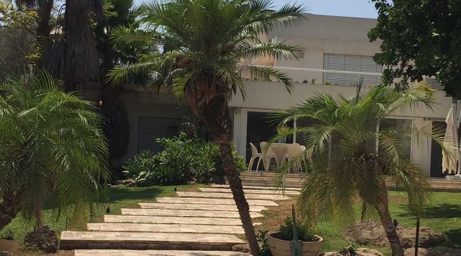 שדרוג גינה יוקרתית בסביון