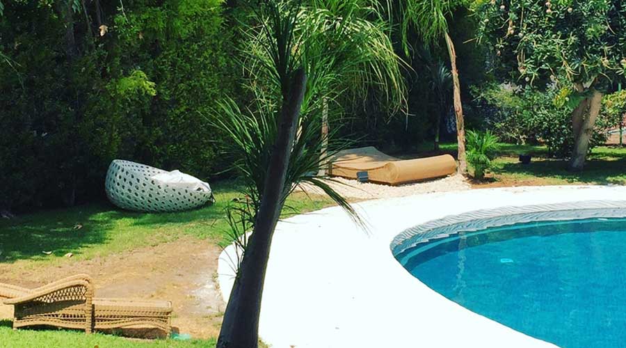 שדרוג גינה יוקרתית בסביון