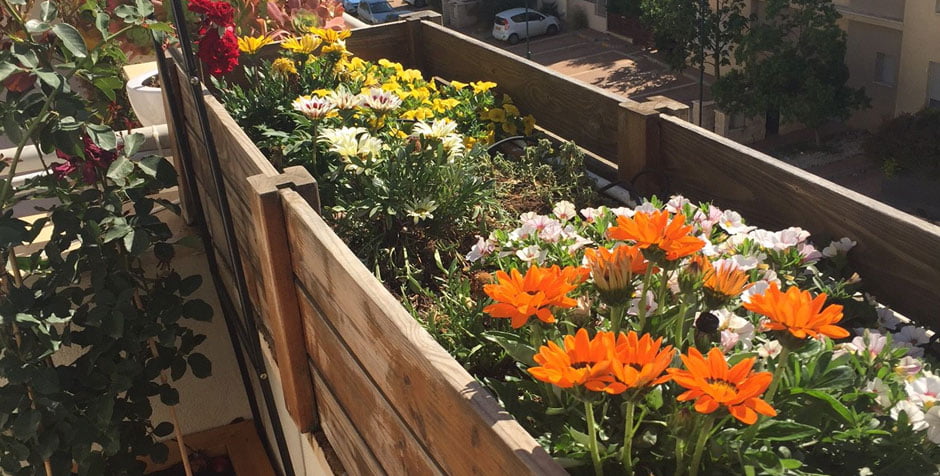 פרויקט פנטהאוז באבן יהודה