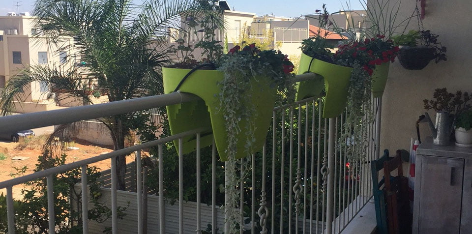 פרויקט פנטהאוז באבן יהודה