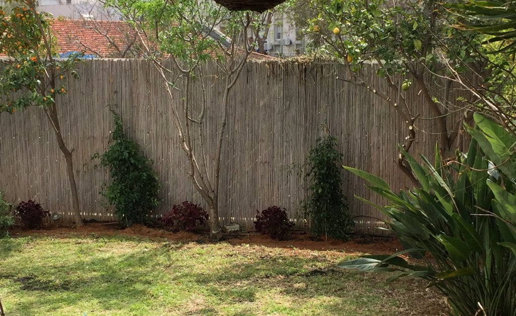 שיחזור ושיקום גינה בנתניה