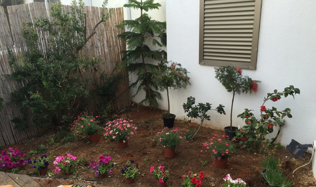 שיחזור ושיקום גינה בנתניה