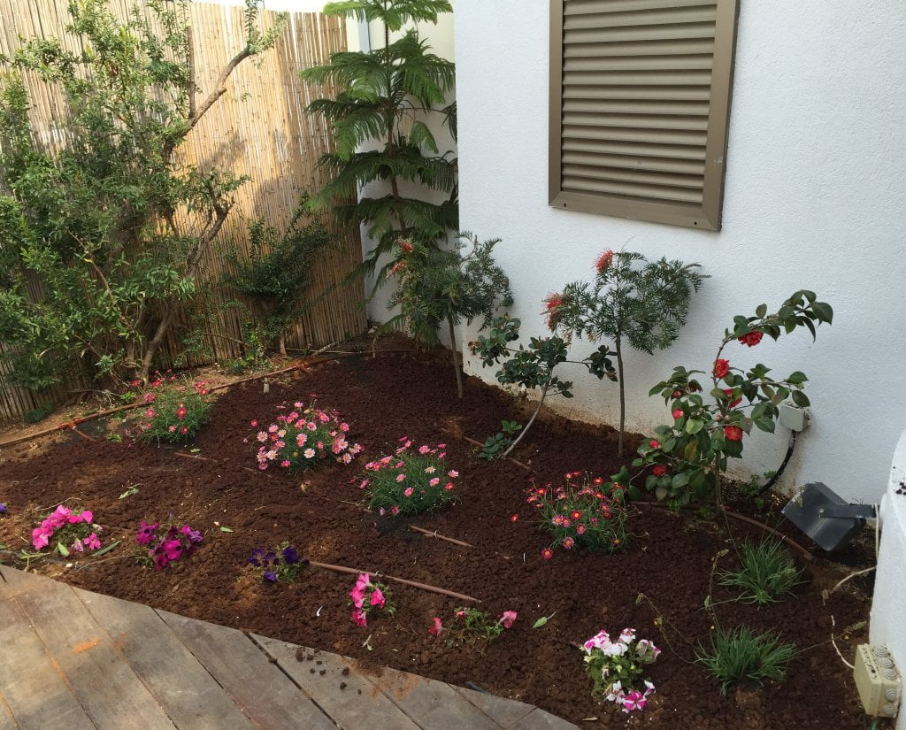 שיחזור ושיקום גינה בנתניה