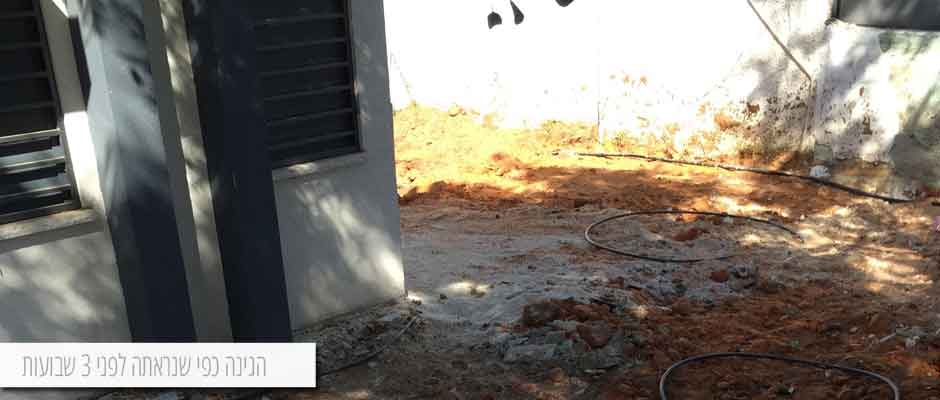 תכנון עיצוב והקמת גינה יוקרתית בקדימה