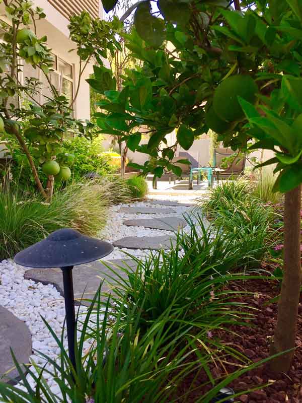 עיצוב גינה בשרון