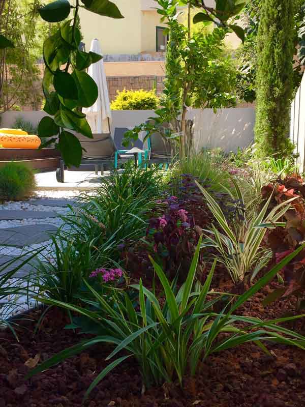 עיצוב גינה בשרון