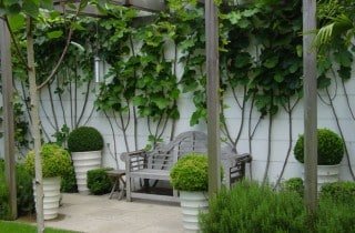 מודרנית 1 320x210 - עיצוב גינה מודרנית