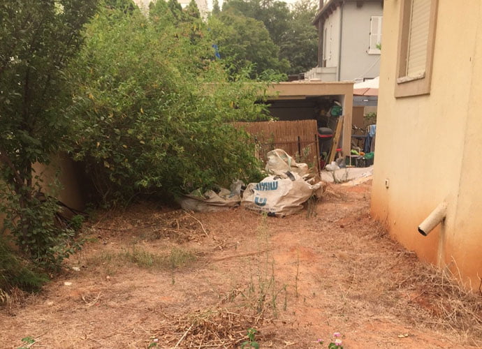 גינות2 - תכנון והקמת גינה יוקרתית בצפון תל אביב