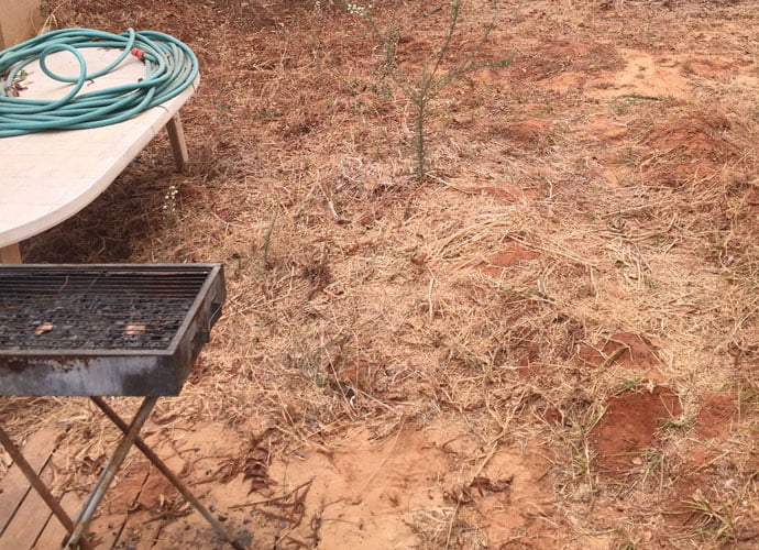 גינות3 - תכנון והקמת גינה יוקרתית בצפון תל אביב