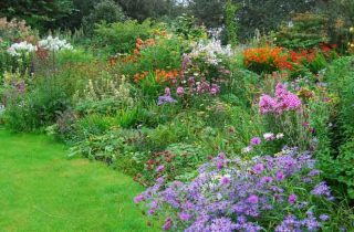 עיצוב ותכנון גינה באביב