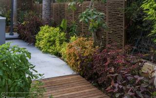 שילוב עץ דק בגינה