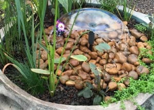 בריכה ניידת