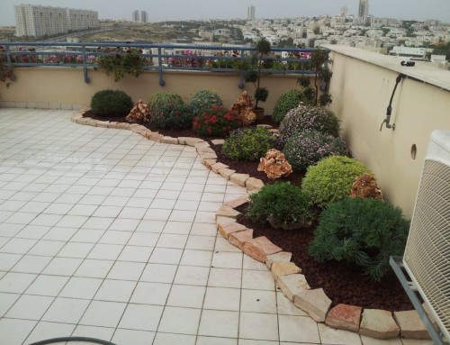 מרפסת עם גינה הידרופונית מדהימה