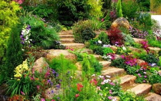 גינון אורגני