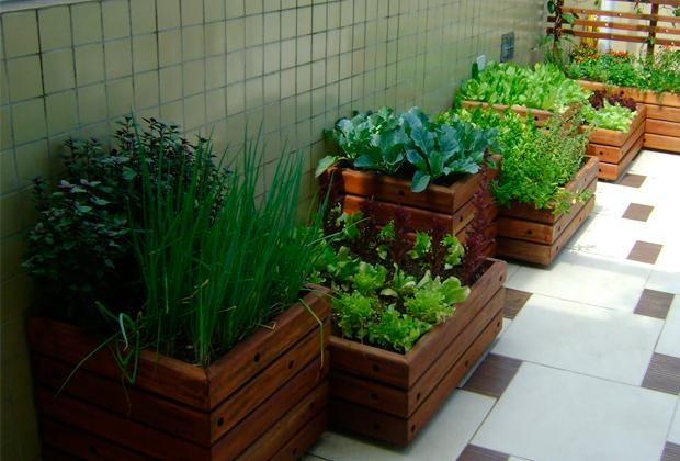 גינון אורגני 