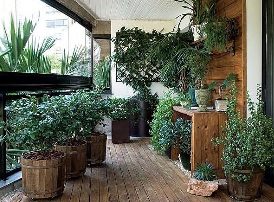 טיפוח הגינה בעונת החורף