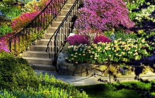 טיפוח הגינה בעונת החורף