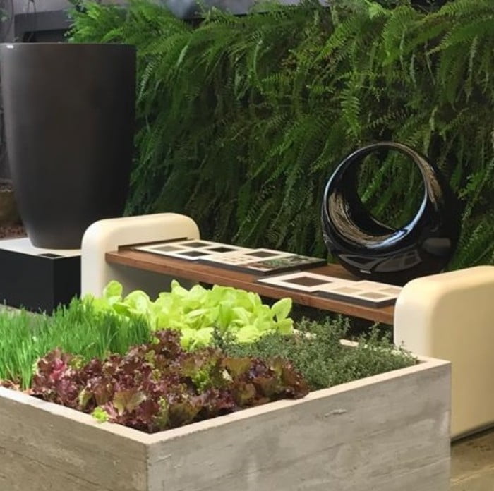 אלמנטים מעוצבים בגינה קטנה -