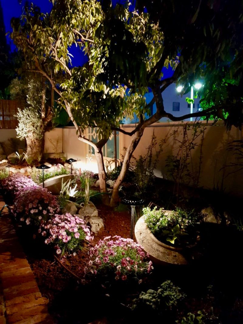 פרויקט עיצוב והקמת גינה יוקרתית בפתח תקווה