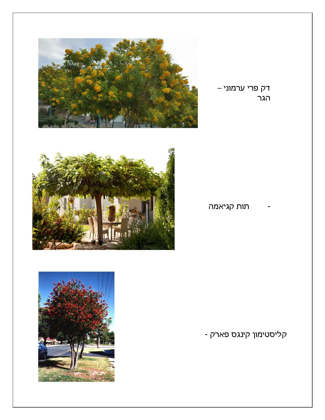 הצעת מחיר עבור תכנון עיצוב וביצוע גינה