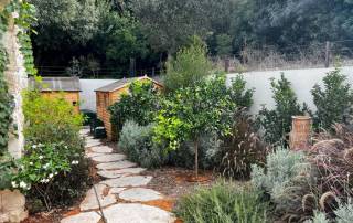 עיצוב גינות תחת השקיה נבונה